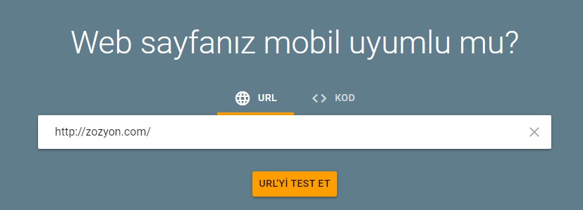 Google Mobil Uyumluluk Testi