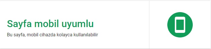 Google Mobil Uyumluluk Test Sonucu